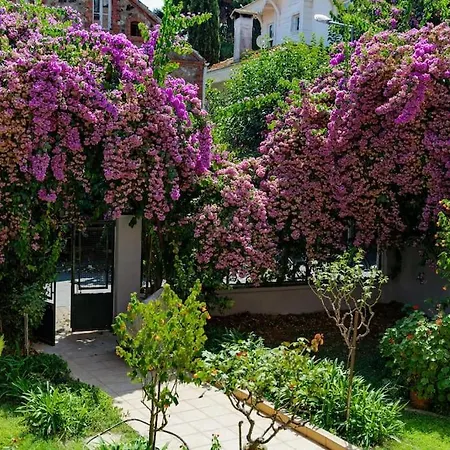 Bright And Cozy 2br In The Center Of Buyukada *